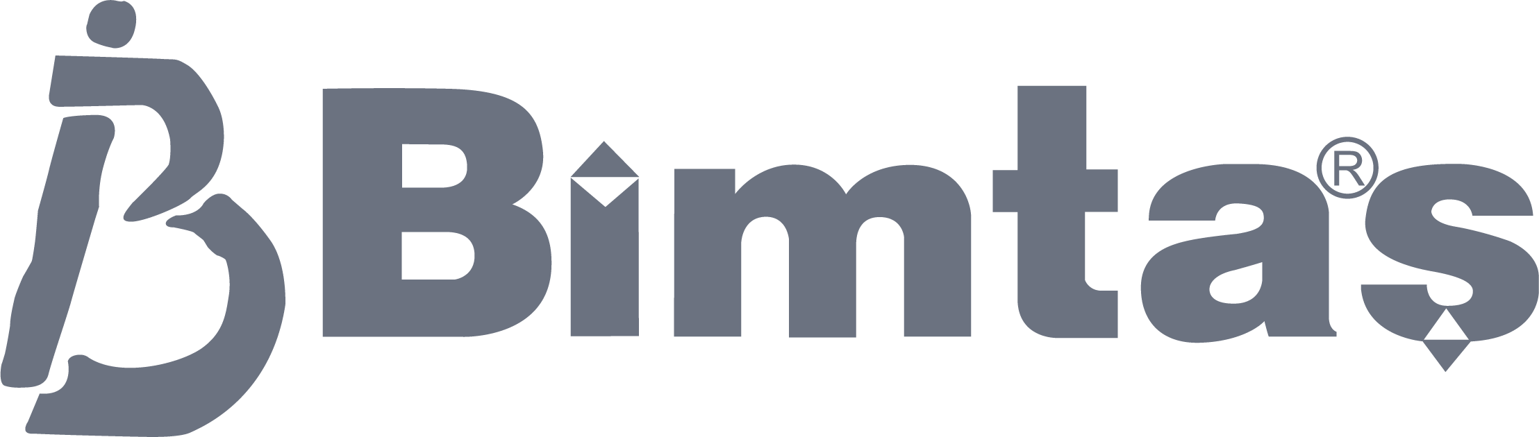 BİMTAŞ Logo